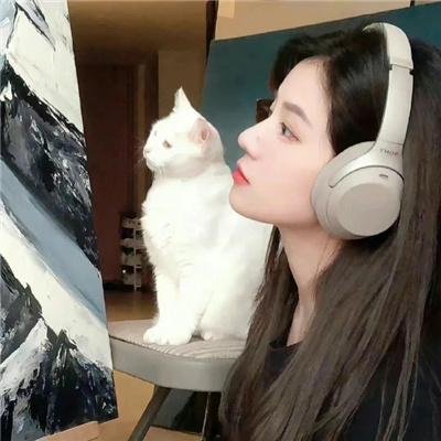 自卫的艺术