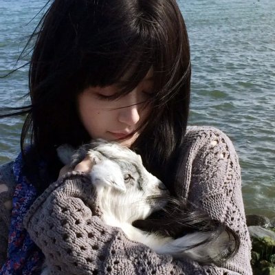 霸海群英会